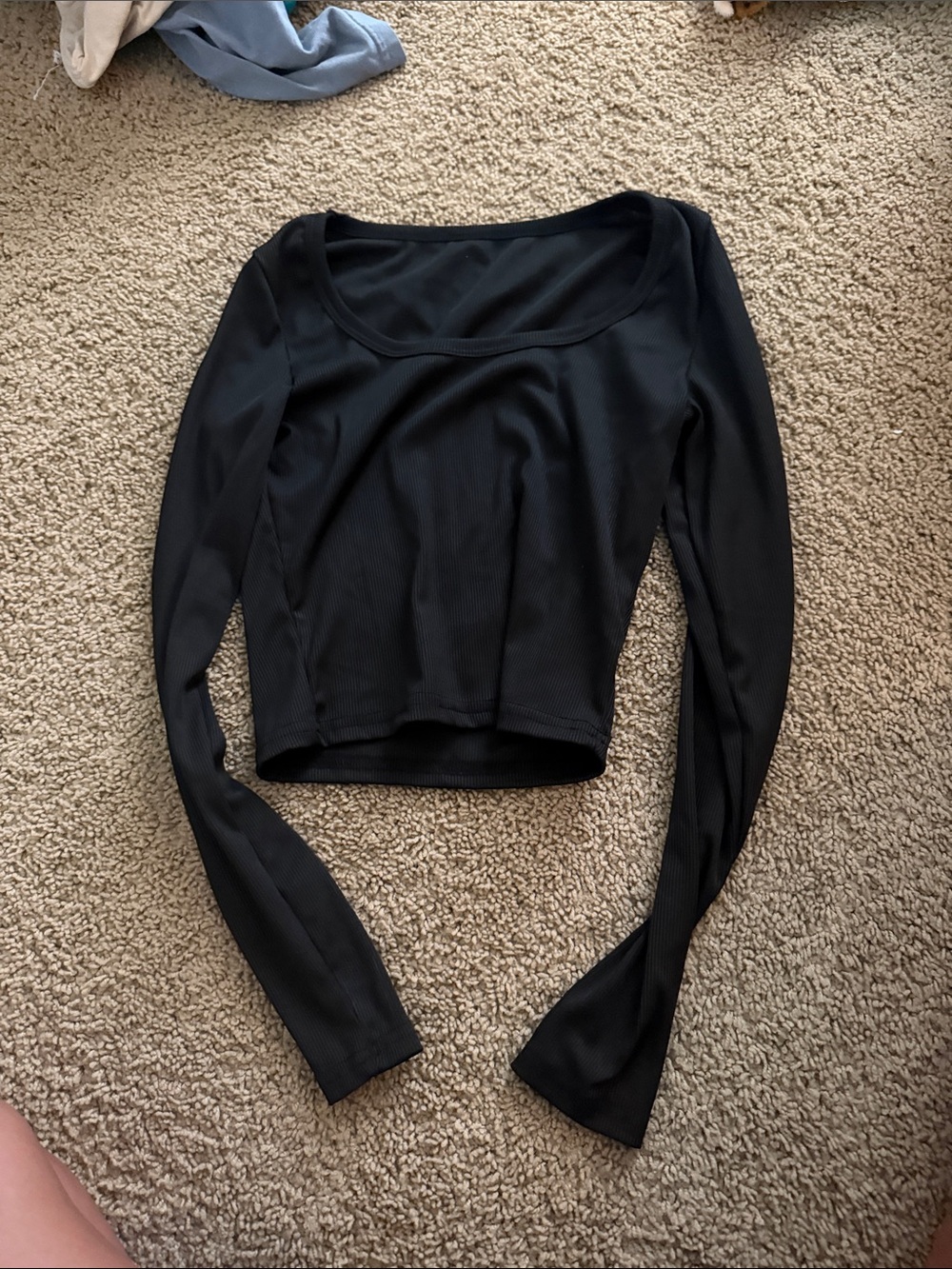 SHEIN Black Long Sleeve Scoop Neck Crop Top